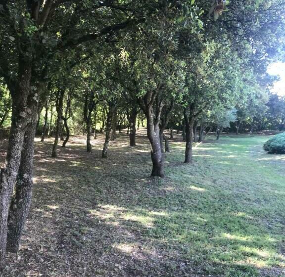 مبيت وإفطار Chambre D Hôte à La Maison Du Petit Bois 4 étoiles