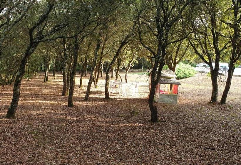 مبيت وإفطار Chambre D Hôte à La Maison Du Petit Bois 4 étoiles
