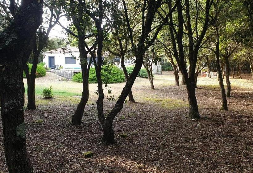 مبيت وإفطار Chambre D Hôte à La Maison Du Petit Bois 4 étoiles