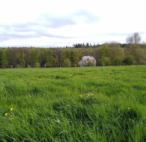 ベッドアンドブレックファースト Chambres D Hôtes Du Ranch