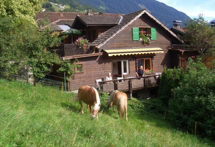 تختخواب و صبحانه Haus Kasimir