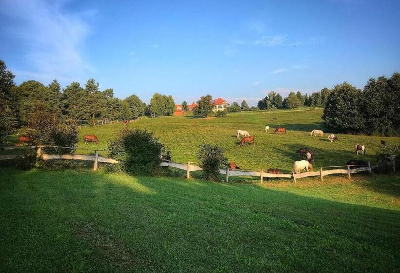 مبيت وإفطار Rácz Tanya és Panzió