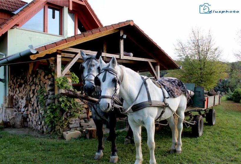 مبيت وإفطار Rácz Tanya és Panzió