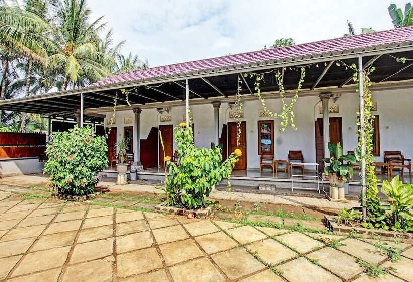 בית מלון כפרי Swan Homestay