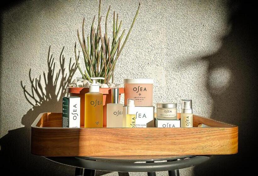 Onsen Hotel And Spa