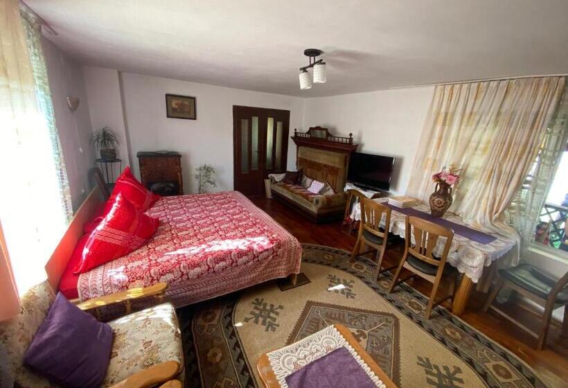 פנסיון Casa Otilia