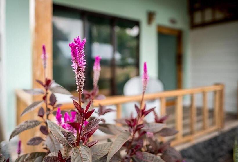 پانسیون Marta House Gili Air