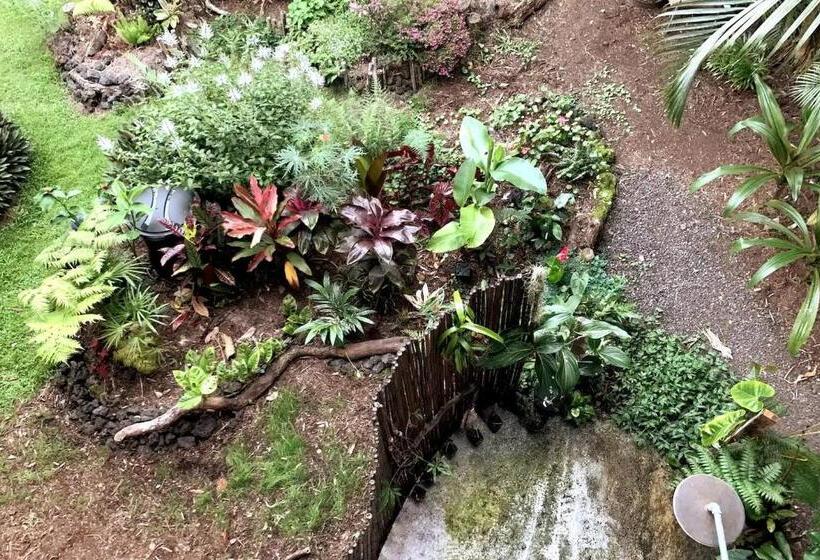پانسیون Phoenix Garden