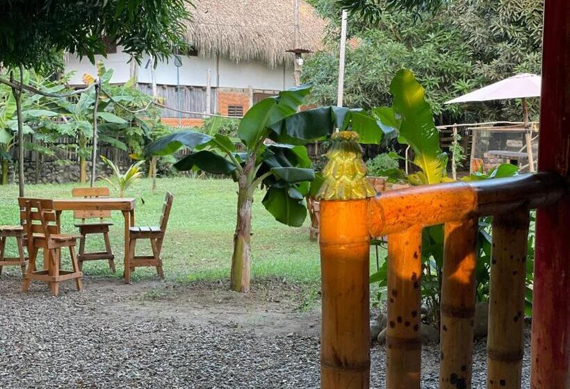 پانسیون Sisio Hostal