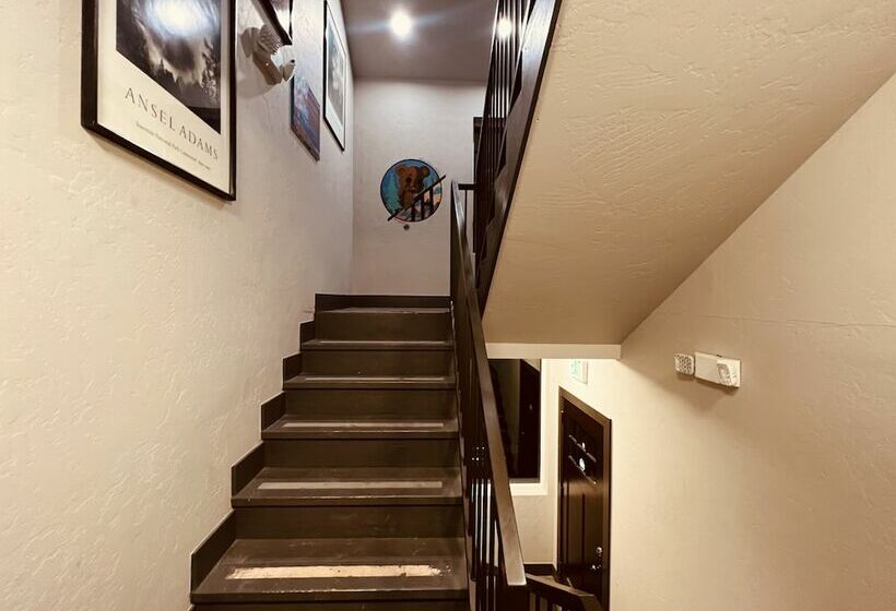Treeline Hostel