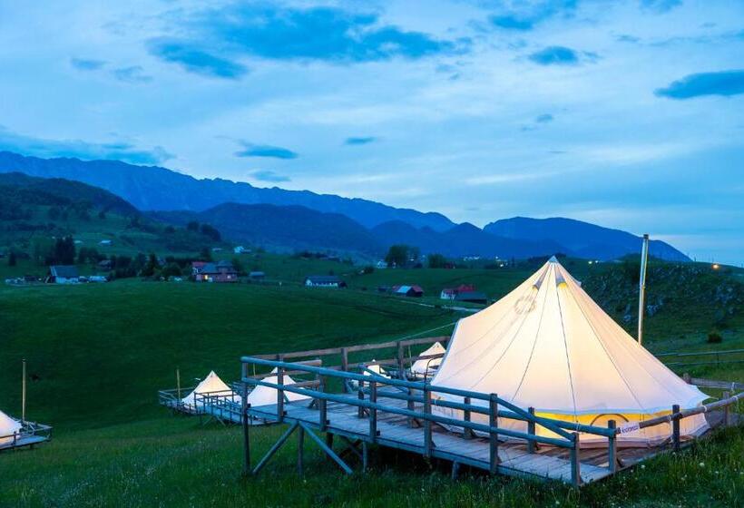 Ursa Mica Glamping Resort