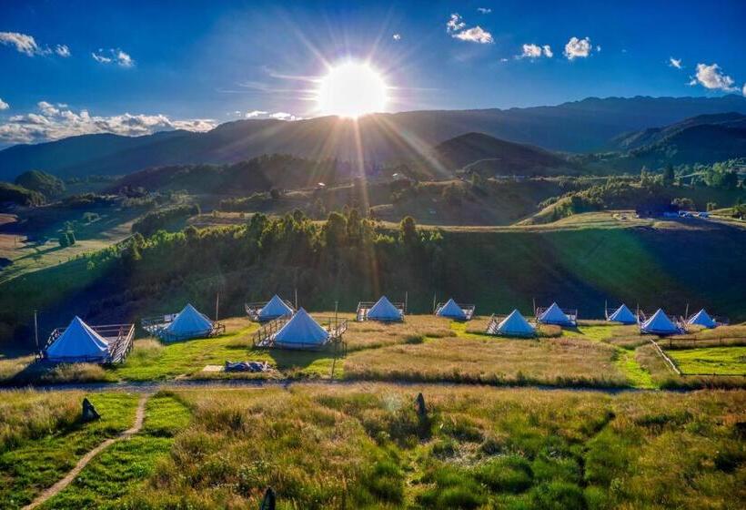 Ursa Mica Glamping Resort