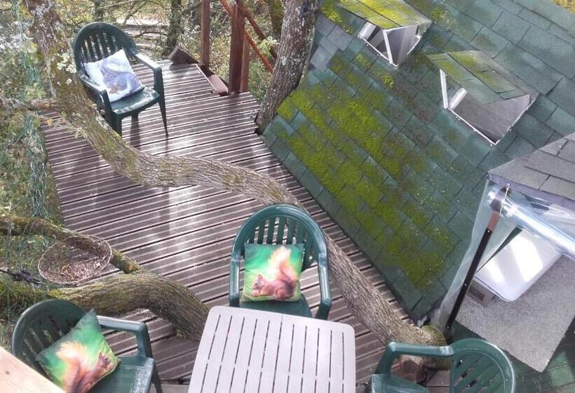 B&b La Cabane Insolite