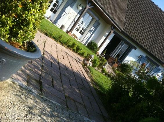 צימר Le Jardin Adele