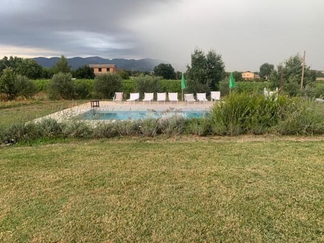 Отель Agriturismo Il Bel Laghetto