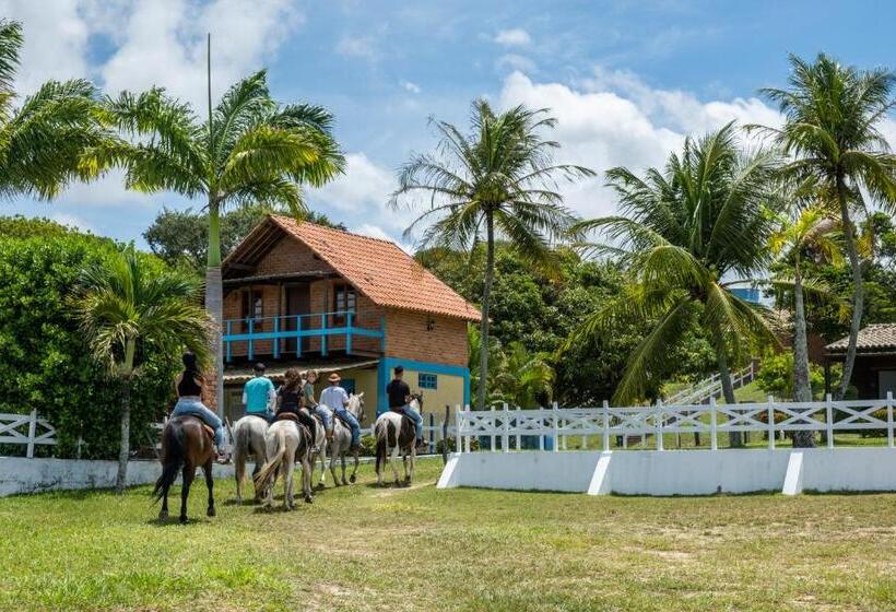بنسيون Fazenda Bom Fim