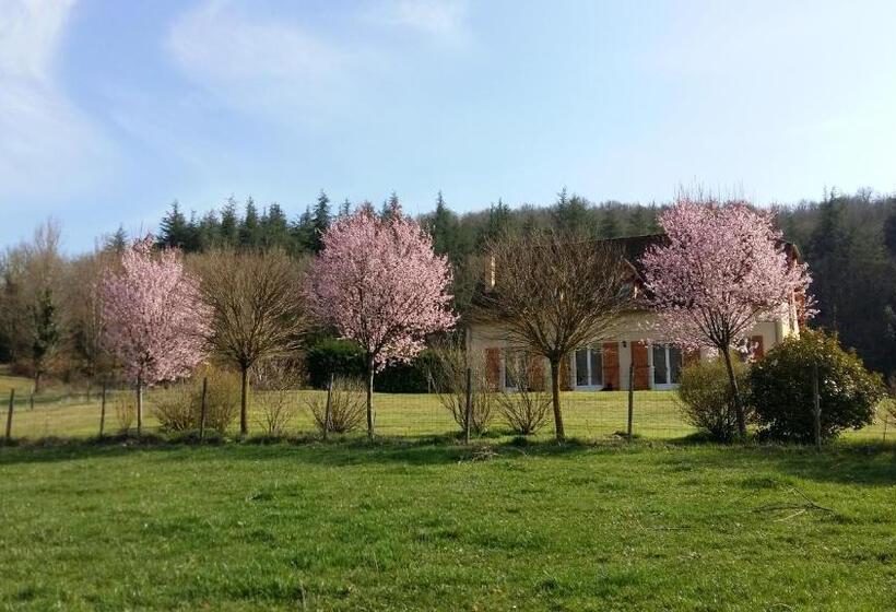 Valley View B&b