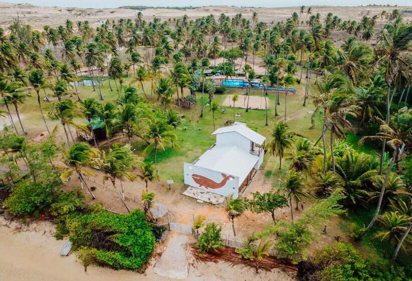 فندق Villa Baleia