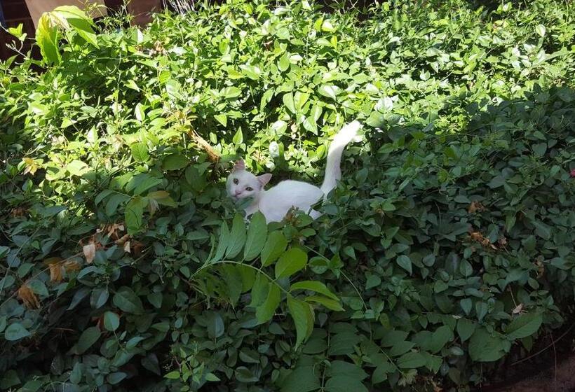 هاستل Pousada Agua Marinha