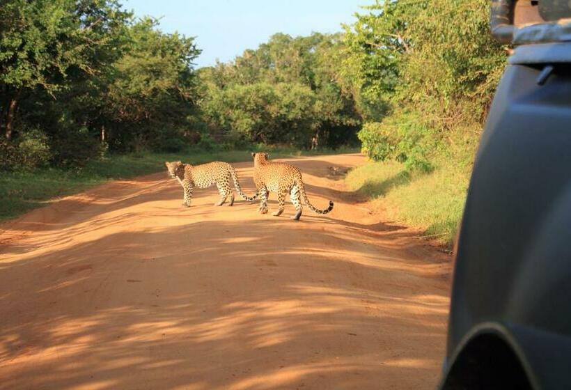 Отель Leopard Corridor Yala