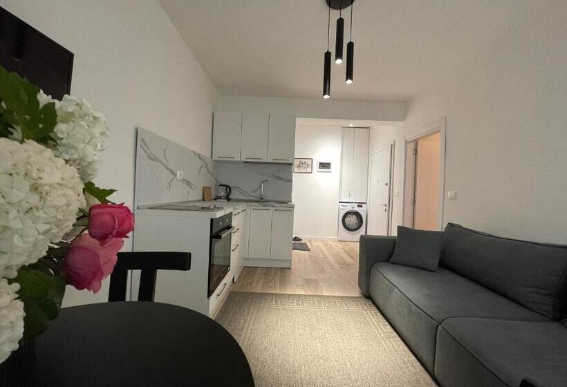 Myslym Shyri S Apartments