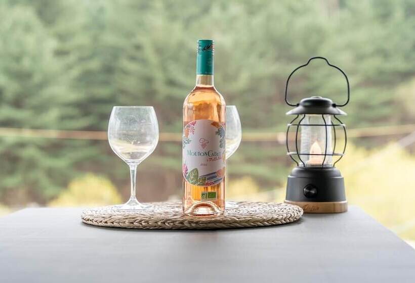 Hotel Gapyeong Tori Spa Pension