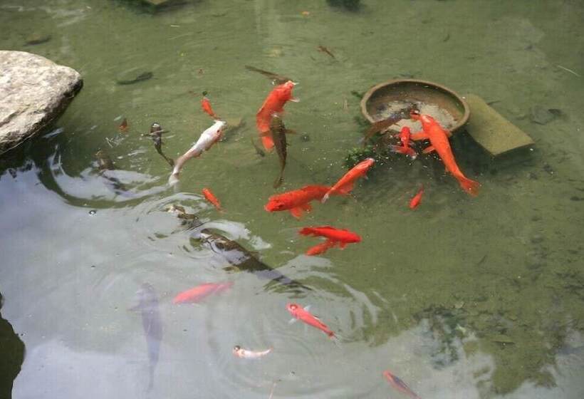 فندق Palsecjo Pension