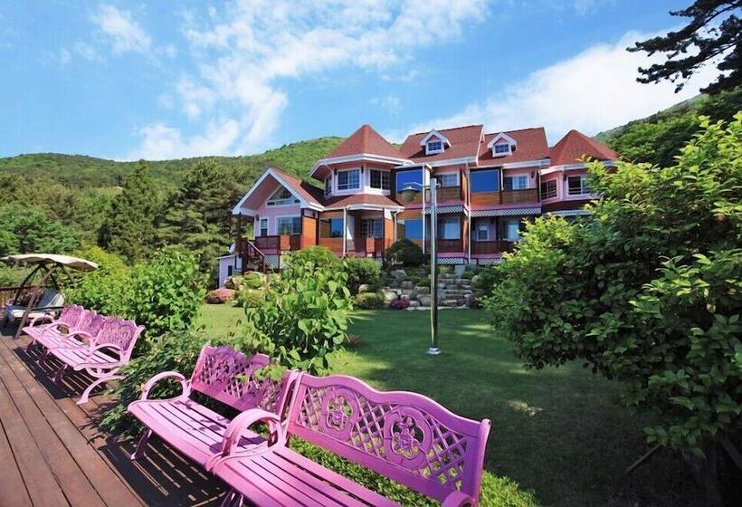 فندق Palsecjo Pension