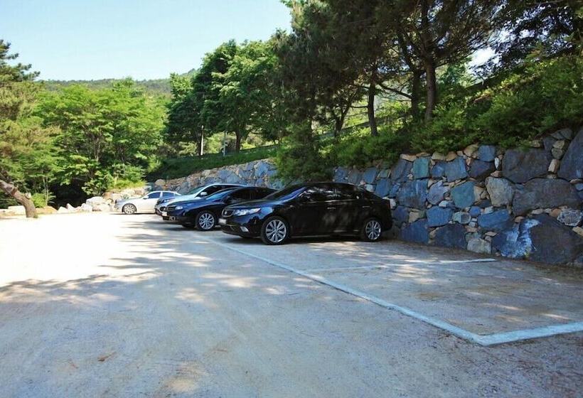 فندق Palsecjo Pension