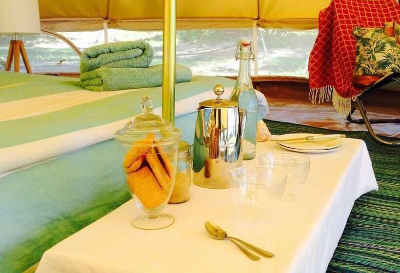 هتل Waitui Basecamp   Hostel