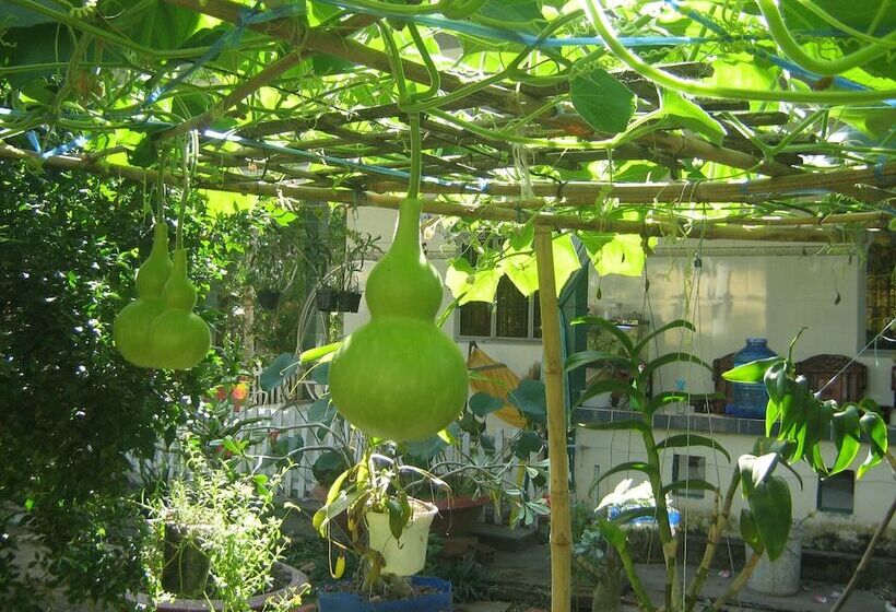 هتل Coco Happy Farmstay