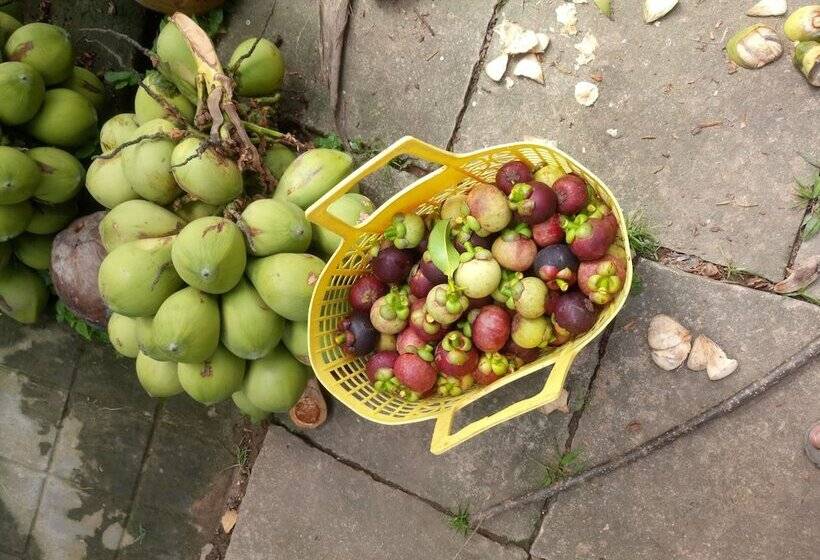 هتل Coco Happy Farmstay