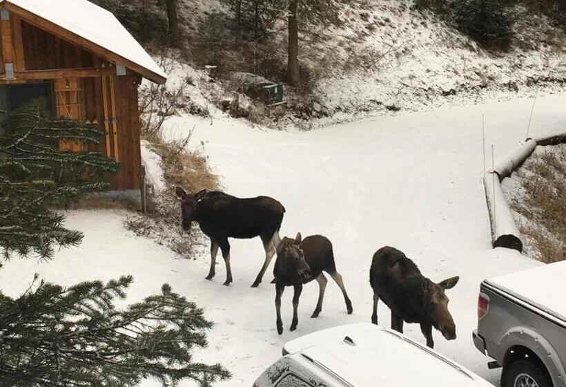 مبيت وإفطار Jackson Hole Hideout