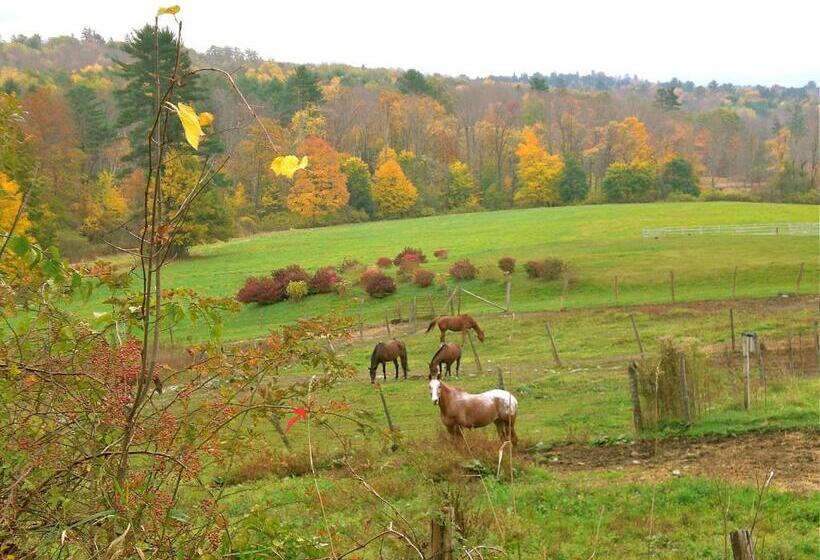 تختخواب و صبحانه Whistler's Inn