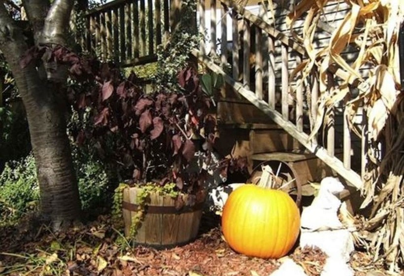 Boyden House Inn B&b