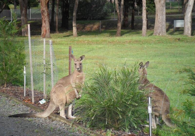 Grampians Chalets