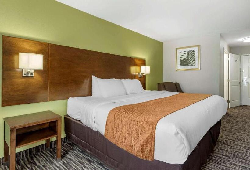 酒店 Comfort Inn & Suites North Little Rock Jfk Blvd