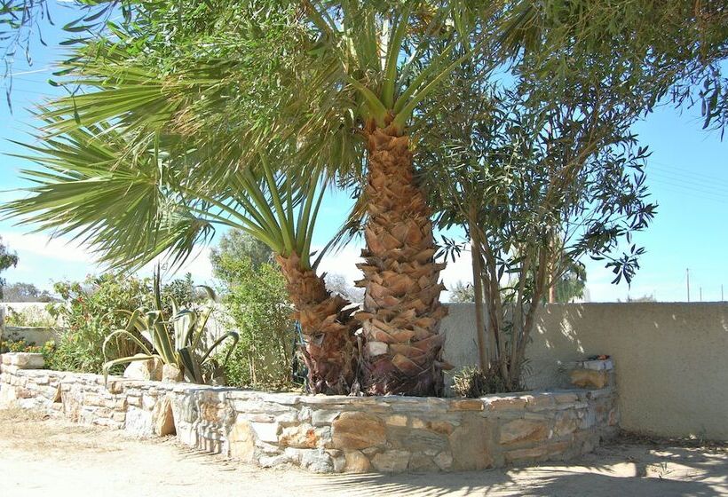 ホテル Coralli Beach Apartments