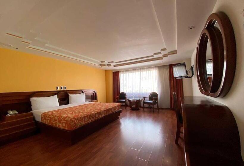 Fotos del hotel Plaza Solis:  7