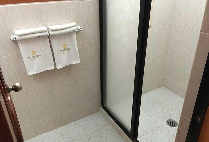 Fotos del hotel Plaza Solis:  11