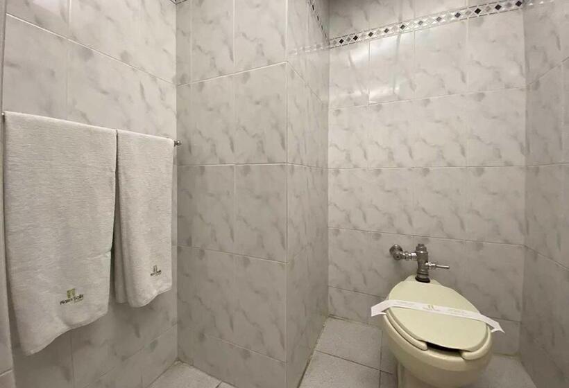 Fotos del hotel Plaza Solis:  36