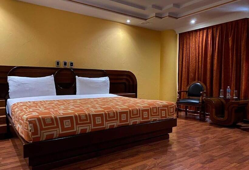 Fotos del hotel Plaza Solis:  37