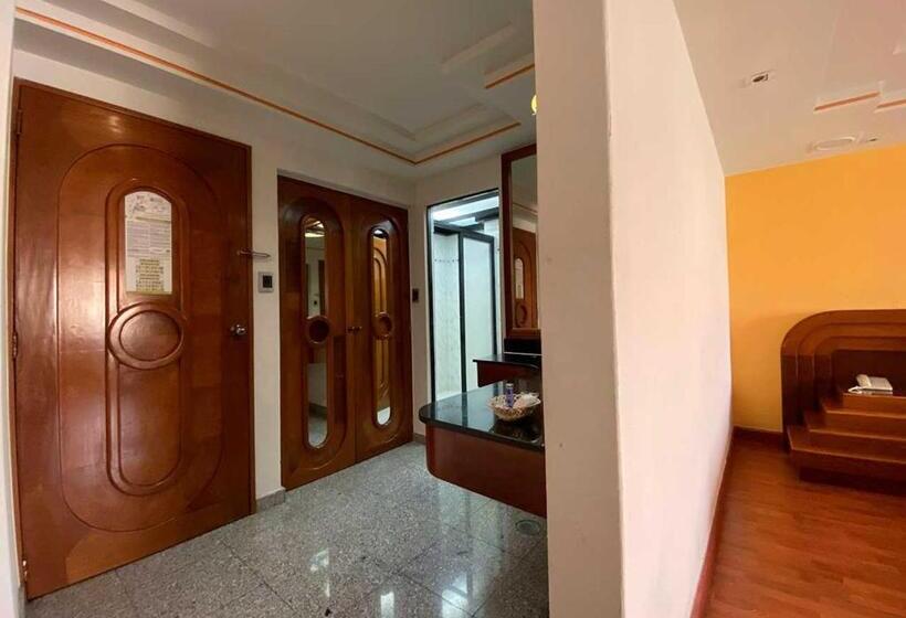 Fotos del hotel Plaza Solis:  39