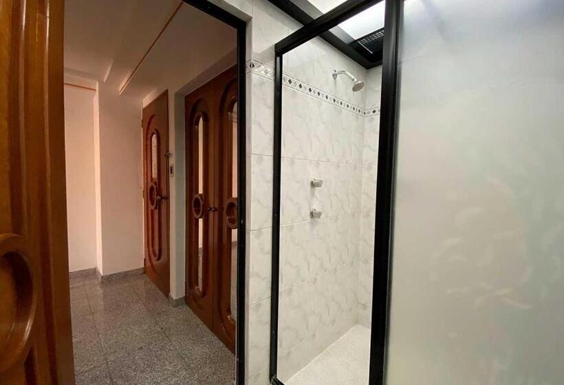 Fotos del hotel Plaza Solis:  41