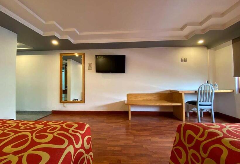 Fotos del hotel Plaza Solis:  19