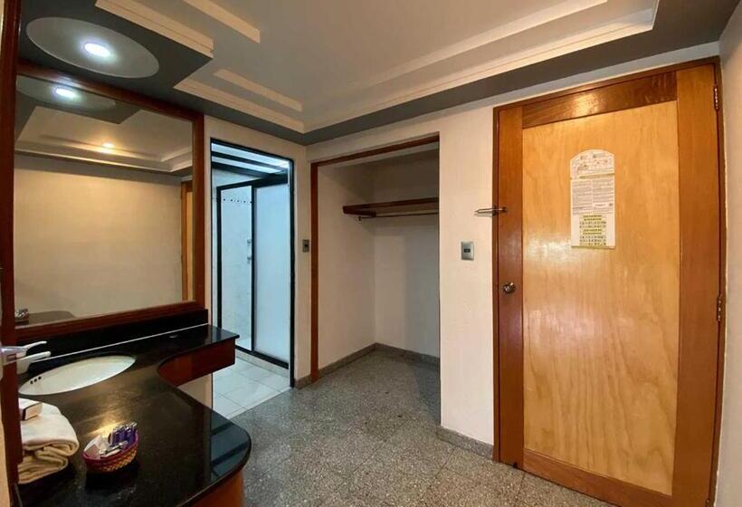 Fotos del hotel Plaza Solis:  21