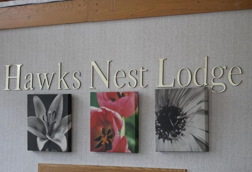 فندق Hawk's Nest Lodge