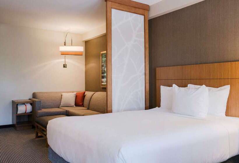 هتل Hyatt Place Buffalo / Amherst, Ny