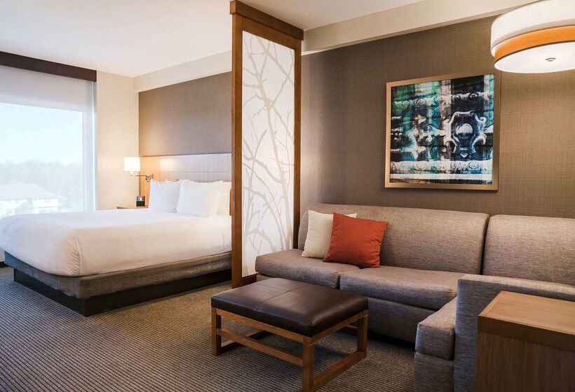 هتل Hyatt Place Buffalo / Amherst, Ny