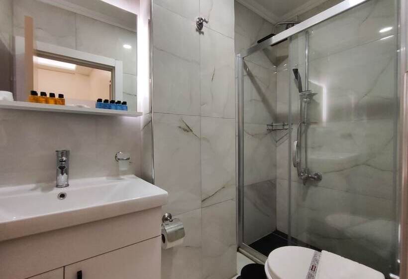 Fotos del hotel Luce Suites Taksim:  33